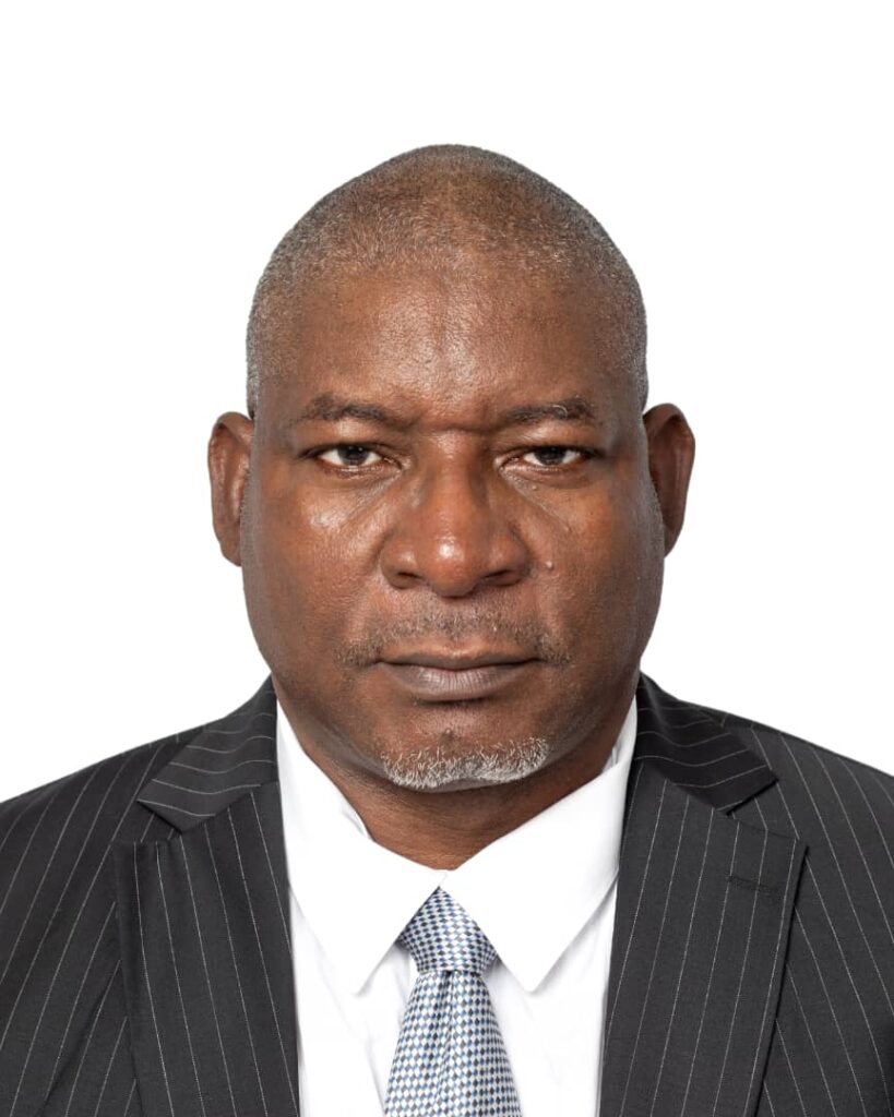 auditor-general of the federation