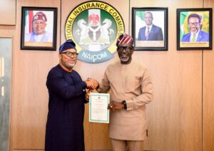 NETAPPS SECURES NAICOM LICENCE TO EXPAND DIGITAL INSURANCE SERVICES